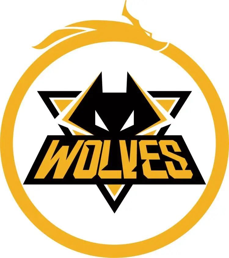 Bilibili Gaming 教练：我们最后的目标就是MSI还有世界赛